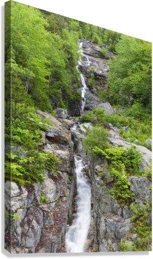 Silver Cascade - Crawford Notch New Hampshire Canvas Print