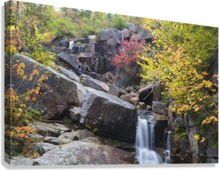 Zealand Falls - Bethlehem New Hampshire Canvas Print