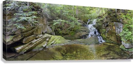 Tama Fall - Randolph New Hampshire  Canvas Print