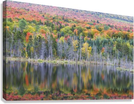 Old Cherry Mountain Road - Carroll New Hampshire Canvas Print