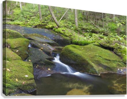 Scarface Brook - Bethlehem New Hampshire Canvas Print