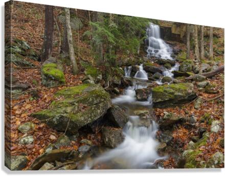 Rollo Fall - Randolph New Hampshire Canvas Print