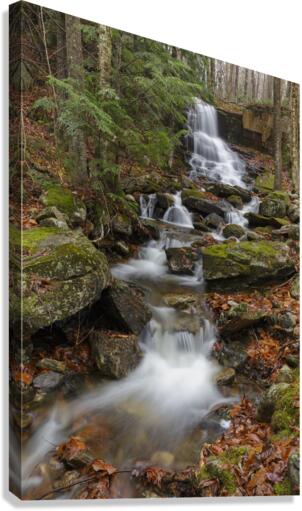 Rollo Fall - Randolph New Hampshire Canvas Print