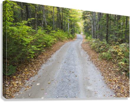 Sandwich Notch Road - Sandwich New Hampshire Canvas Print