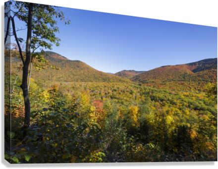 Crawford Notch - Harts Location New Hampshire Canvas Print