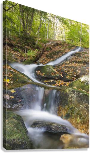 Clough Mine Brook - Kinsman Notch New Hampshire Canvas Print