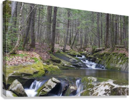 Pike Brook - North Woodstock New Hampshire Canvas Print