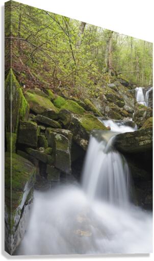 Stark Falls Brook - Kinsman Notch New Hampshire  Canvas Print