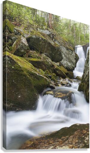 Stark Falls Brook - Kinsman Notch New Hampshire  Canvas Print