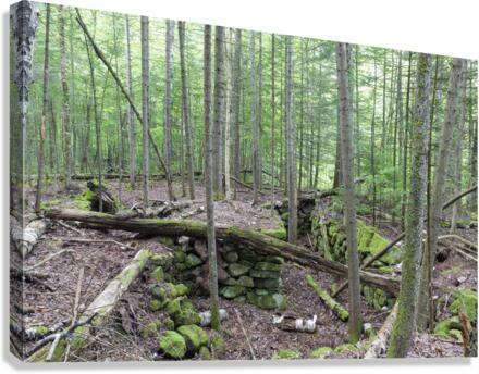 Breezy Point - Warren New Hampshire Canvas Print