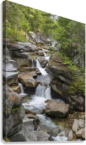 Middle Ammonoosuc Falls - Crawfords Purchase New Hampshire  Canvas Print