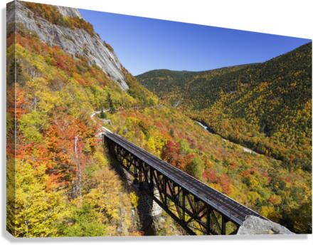 Willey Brook Trestle - Harts Location New Hampshire Canvas Print