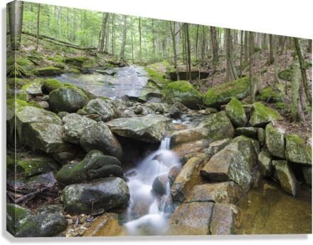 Pollard Brook - Lincoln New Hampshire Canvas Print