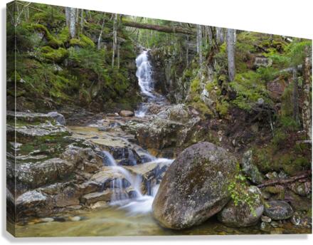 Pearl Cascade - Bethlehem New Hampshire Canvas Print