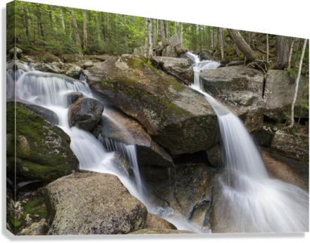Whitehouse Brook - Lincoln New Hampshire Canvas Print
