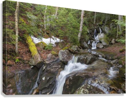 Elephant Head Brook - Carroll New Hampshire  Canvas Print