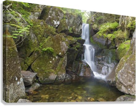 Duck Fall - Low and Burbanks Grant New Hampshire  Canvas Print