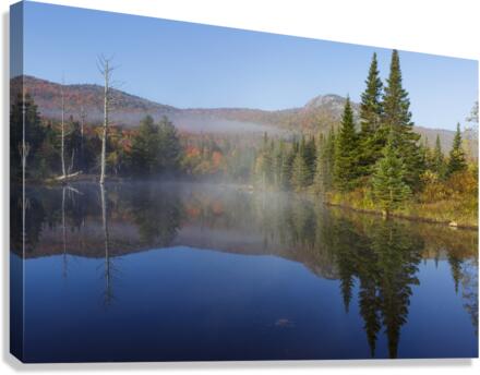 Wildlife Pond - Bethlehem New Hampshire Canvas Print