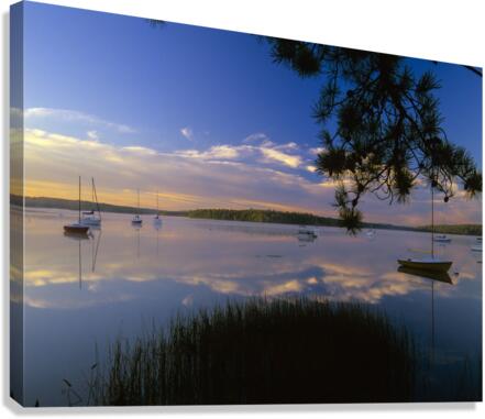Lake Massabesic - Auburn New Hampshire Canvas Print