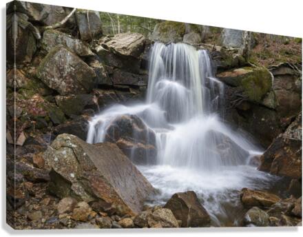 Whitehouse Brook - Lincoln New Hampshire Canvas Print