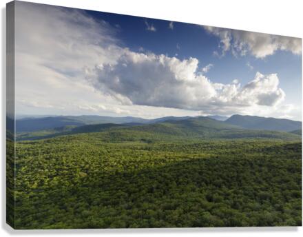 Mount Pemigewasset - Franconia Notch New Hampshire Canvas Print