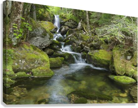 Cold Brook - Low and Burbanks Grant New Hampshire Canvas Print
