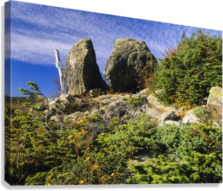 Boott Spur Trail - Mount Washington New Hampshire  Canvas Print