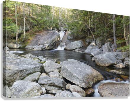 Harvard Brook - Lincoln New Hampshire Canvas Print