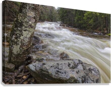 Pemigewasset River - Franconia Notch State Park New Hampshire Canvas Print