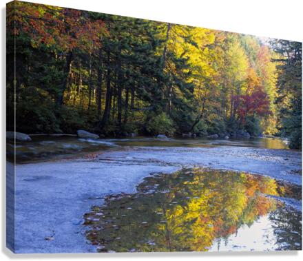 Swift River - White Mountains New Hampshire Canvas Print