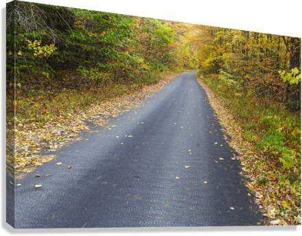 Tunnel Brook Road - Easton New Hampshire Canvas Print
