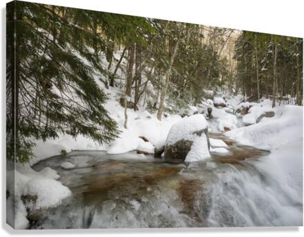Flume Brook - Franconia Notch State Park New Hampshire Canvas Print
