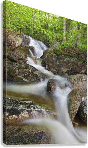 Clough Mine Brook - Kinsman Notch New Hampshire Canvas Print