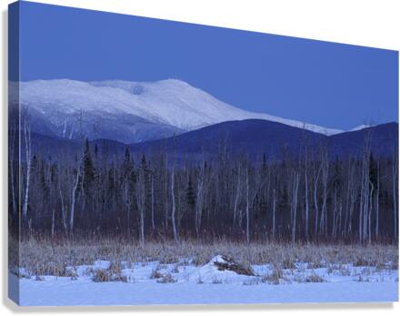 Mount Washington - Pondicherry Wildlife Refuge New Hampshire Canvas Print