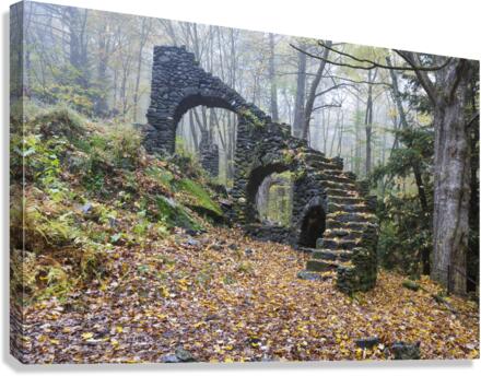 Madame Sherri Forest - Chesterfield New Hampshire Canvas Print