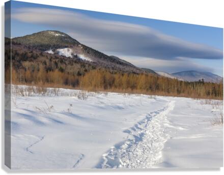 Downes - Oliverian Brook Ski Trail - White Mountains New Hampshire Canvas Print