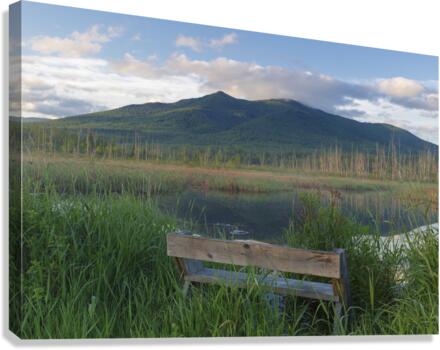 Cherry Mountain - Moorhen Marsh Pondicherry Wildlife Refuge Canvas Print
