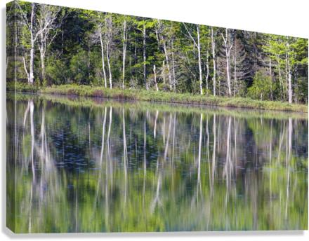 Elbow Pond - North Woodstock New Hampshire Canvas Print