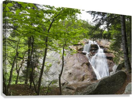 Harvard Brook - Lincoln New Hampshire Canvas Print