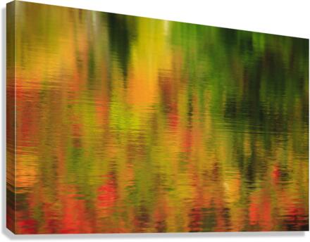 Wildlife Pond - Bethlehem  New Hampshire  Canvas Print