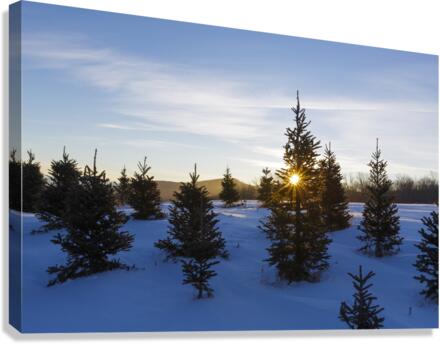 The Rocks Estate - Bethlehem New Hampshire Canvas Print