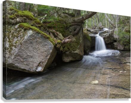 Whitehouse Brook - Lincoln New Hampshire Canvas Print