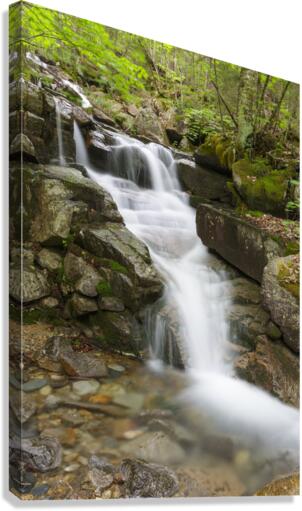 Franconia Notch - White Mountains New Hampshire Canvas Print
