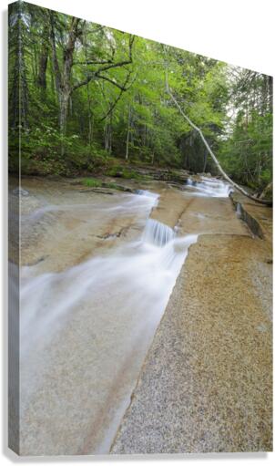 Walker Brook Cascades - Franconia Notch New Hampshire Canvas Print