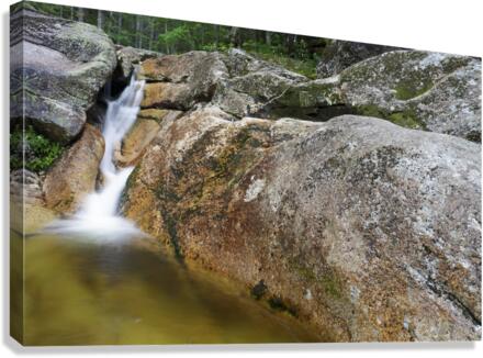 Mt Field Brook Cascades - Bethlehem New Hampshire Canvas Print