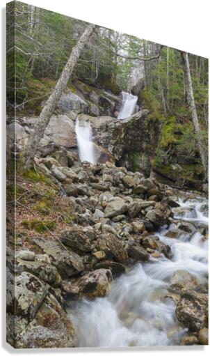 Lafayette Brook Falls - Franconia New Hampshire Canvas Print