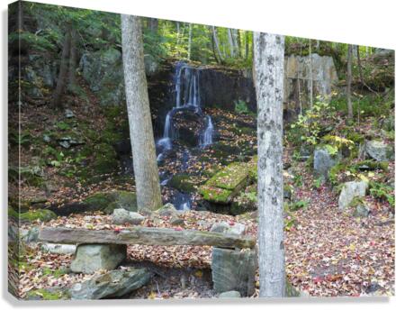 Rollo Fall - Randolph New Hampshire Canvas Print