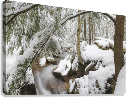 Pemigewasset River - Franconia Notch State Park New Hampshire Canvas Print