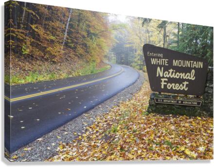 Tripoli Road - Thornton New Hampshire Canvas Print