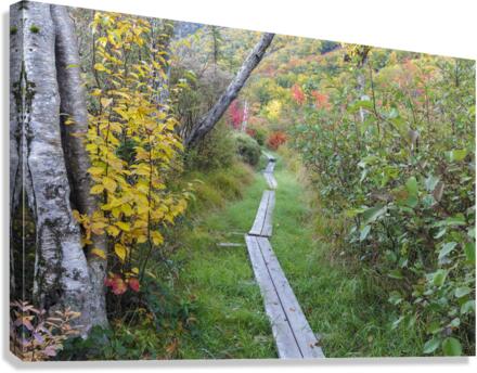 Echo Lake - Franconia Notch New Hampshire Canvas Print